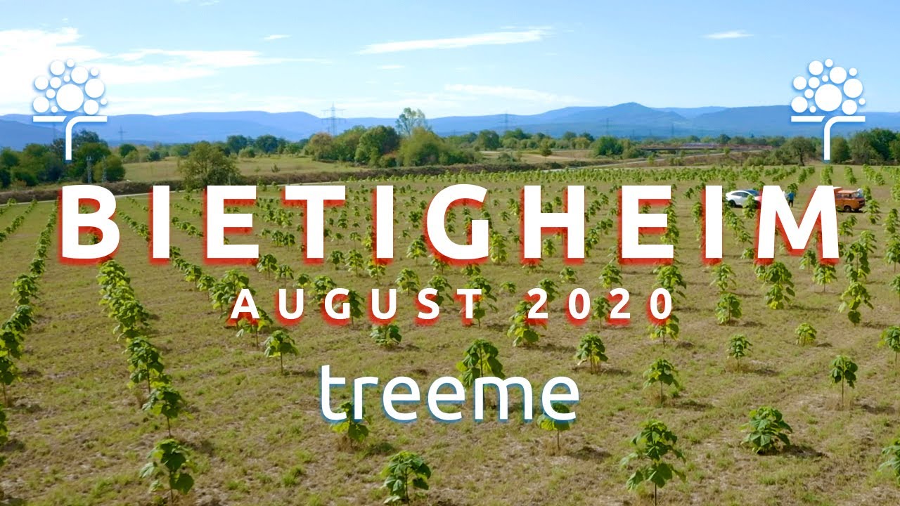 treeme.tv - Bietigheim August 2020