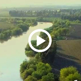 treeme: Ökologische Paulownia-Plantagenbewirtschaftung in der Altmark